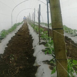 Plasa pentru sere - suport plante