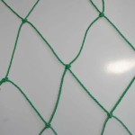 imagine plasa verde pp