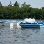 viviere-stolnici-oxigenare1