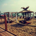 Franghie mana curenta