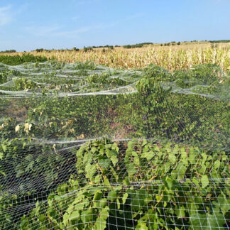 plasa-protectie-vie-4